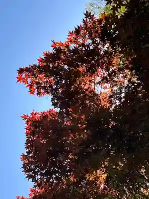 大正寺(神奈川県)