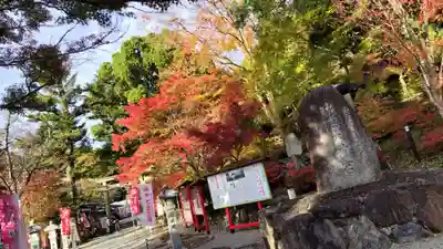 出雲大神宮(京都府)