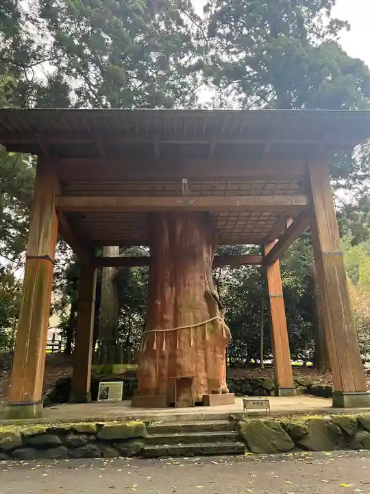 国造神社(熊本県)
