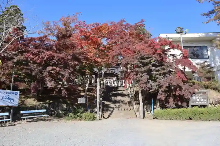 小鹿神社の自然
