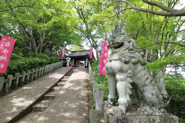 𠮷水神社(吉水神社)の狛犬