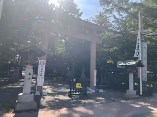 琴似神社の鳥居