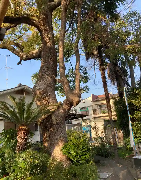 諏訪神社(大阪府)