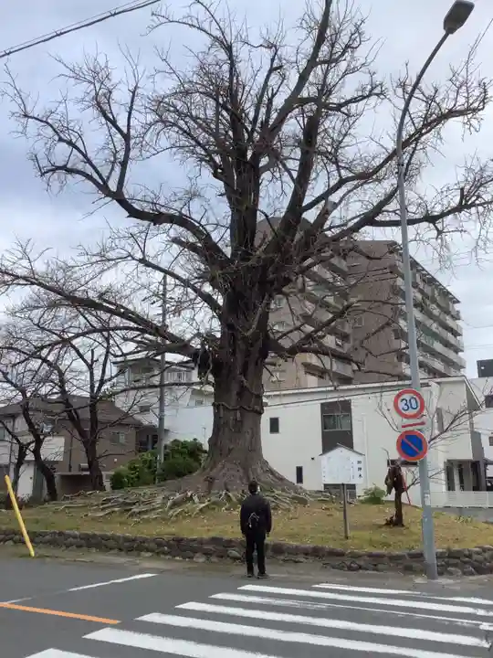 津島神社の周辺