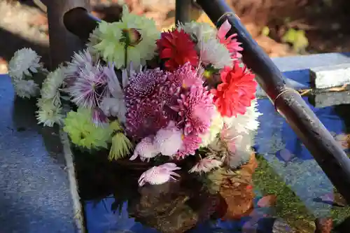 高司神社〜むすびの神の鎮まる社〜の手水舎