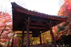 勝持寺（花の寺）(京都府)