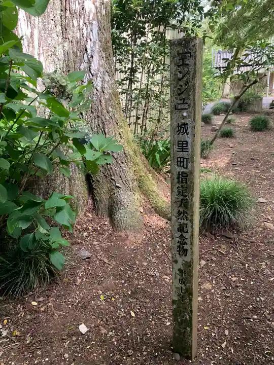 小松寺(茨城県)