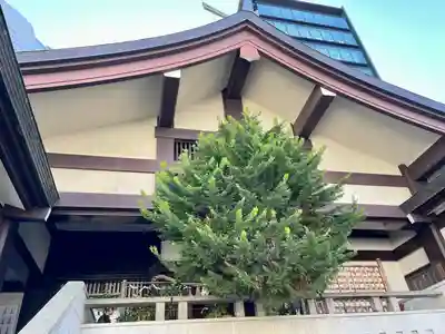 出雲大社東京分祠(東京都)