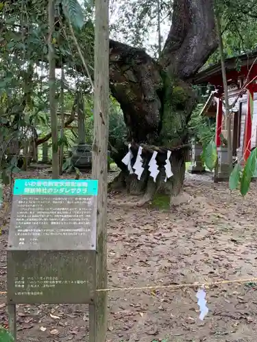 小川諏訪神社の庭園