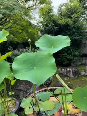 伊勢の国 四天王寺(三重県)