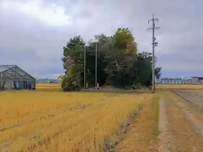 八劔社（宇治町）の自然