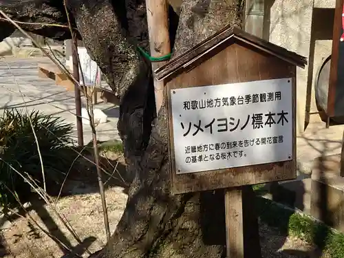 金剛宝寺（紀三井寺）の建物その他