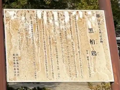 玉祖神社(山口県)