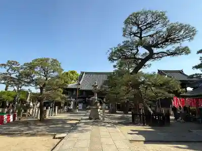 葛井寺(大阪府)