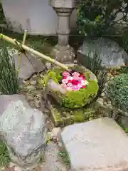 柳谷観音　楊谷寺の手水