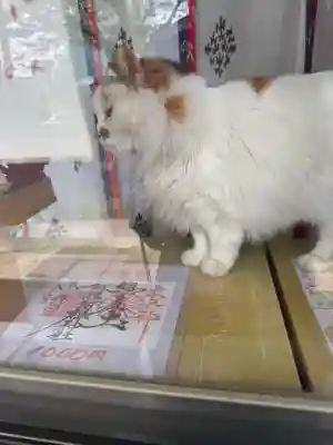 阿邪訶根神社の{uncategorized: "未分類", other: "その他", undefined: "問題あり", building: "その他建物", grave: "お墓", sacred_gate: "鳥居", guardian: "狛犬", statue: "像", buddha: "仏像", history: "歴史", nature: "自然", garden: "庭園", animal: "動物", pagoda: "塔", temizu: "手水舎", mountain_gate: "山門・神門", sanctuary: "本殿・本堂", subordinate: "末社・摂社", art: "芸術", scenery: "景色", jizo: "地蔵", ema: "絵馬", goshuin: "御朱印", omikuji: "おみくじ", items: "授与品その他", amulet: "お守り", goshuincho: "御朱印帳", eats: "食事", festival: "お祭り", votive_dance: "神楽", shichigosan: "七五三参", wedding: "結婚式", experience: "体験その他", initially: "初詣", around: "周辺", anti_infection: "感染症対策"}