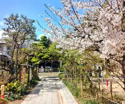 鳩森八幡神社(東京都)