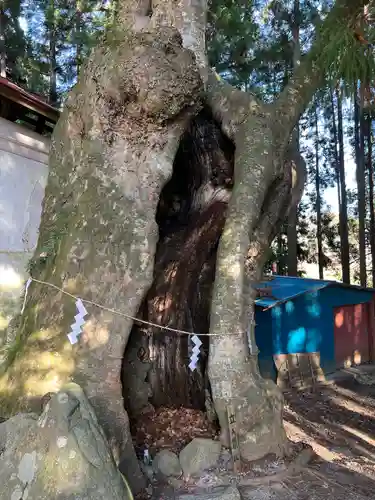 黒沼神社(福島県)