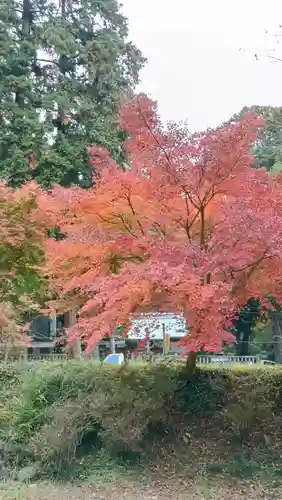 雨引千勝神社(茨城県)