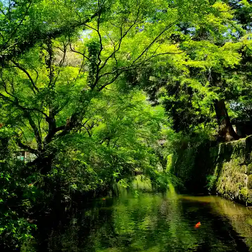 八幡神社松平東照宮(愛知県)