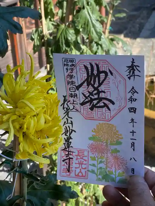 妙蓮寺の御朱印