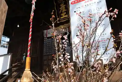 阿邪訶根神社の授与品その他