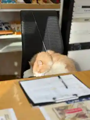 駒込妙義神社(東京都)