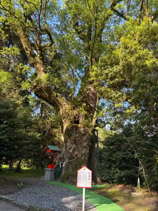 大汝牟遅神社の{uncategorized: "未分類", other: "その他", undefined: "問題あり", building: "その他建物", grave: "お墓", sacred_gate: "鳥居", guardian: "狛犬", statue: "像", buddha: "仏像", history: "歴史", nature: "自然", garden: "庭園", animal: "動物", pagoda: "塔", temizu: "手水舎", mountain_gate: "山門・神門", sanctuary: "本殿・本堂", subordinate: "末社・摂社", art: "芸術", scenery: "景色", jizo: "地蔵", ema: "絵馬", goshuin: "御朱印", omikuji: "おみくじ", items: "授与品その他", amulet: "お守り", goshuincho: "御朱印帳", eats: "食事", festival: "お祭り", votive_dance: "神楽", shichigosan: "七五三参", wedding: "結婚式", experience: "体験その他", initially: "初詣", around: "周辺", anti_infection: "感染症対策"}