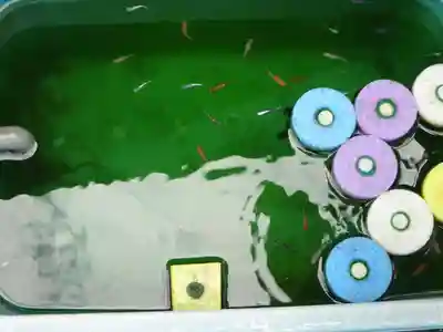 伊勢原 法泉寺の動物