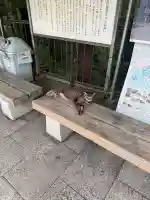 観音山慈眼院(高崎観音)(群馬県)