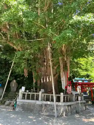 海南神社(神奈川県)