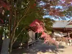 桜町二宮神社の自然