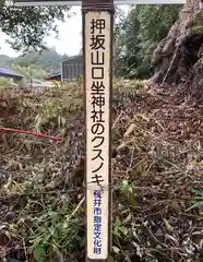 忍坂山口坐神社(奈良県)