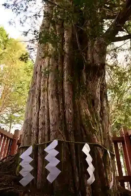 日光二荒山神社中宮祠(栃木県)