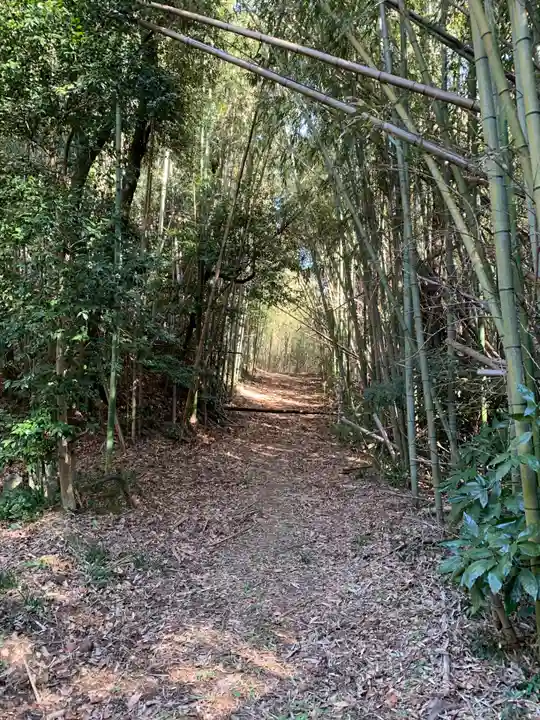 新光寺跡(千葉県)