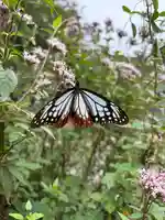 普門寺(切り絵御朱印発祥の寺)(愛知県)