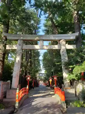 馬橋稲荷神社の鳥居