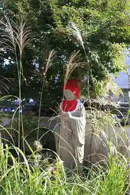 高田寺(京都府)