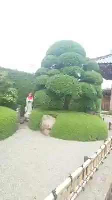 宗保院(東京都)