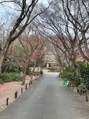 高円寺(東京都)