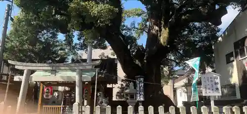 大神社(和歌山県)