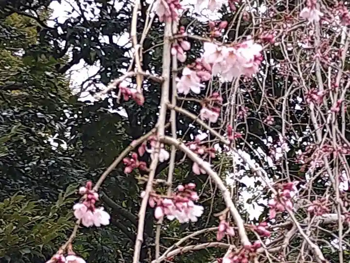 立鉾鹿島神社の自然