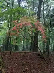 玉置神社(奈良県)