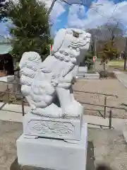 櫻岡大神宮の狛犬