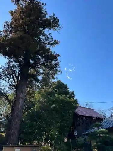 中氷川神社(埼玉県)