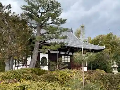 真如寺(京都府)
