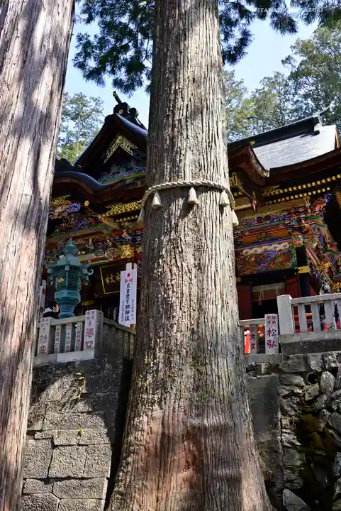 三峯神社の自然