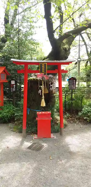 冠稲荷神社の自然