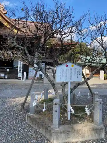 矢奈比賣神社（見付天神）の自然
