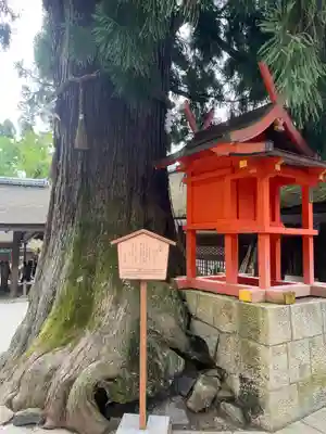 春日大社(奈良県)